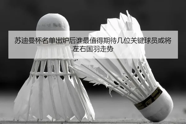 su-di-man-bei-ming-dan-chu-lu-hou-shui-zui-zhi-de-qi-dai-ji-wei-guan-jian-qiu-yuan-huo-jiang-zuo-you-guo-yu-zou-shi-2-696.jpg