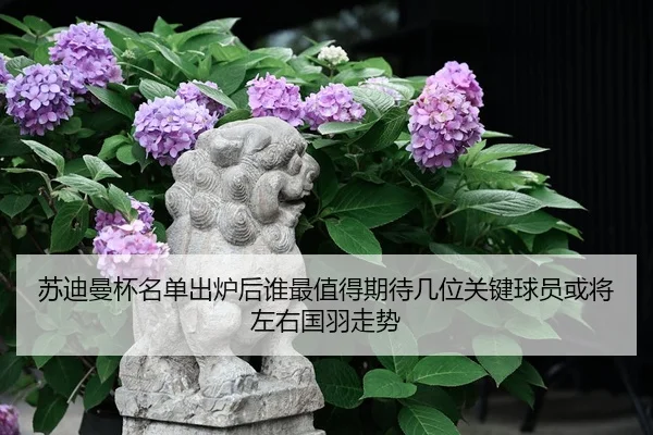 苏迪曼杯名单出炉后谁最值得期待几位关键球员或将左右国羽走势