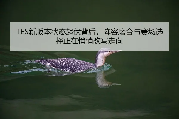 TES新版本状态起伏背后，阵容磨合与赛场选择正在悄悄改写走向